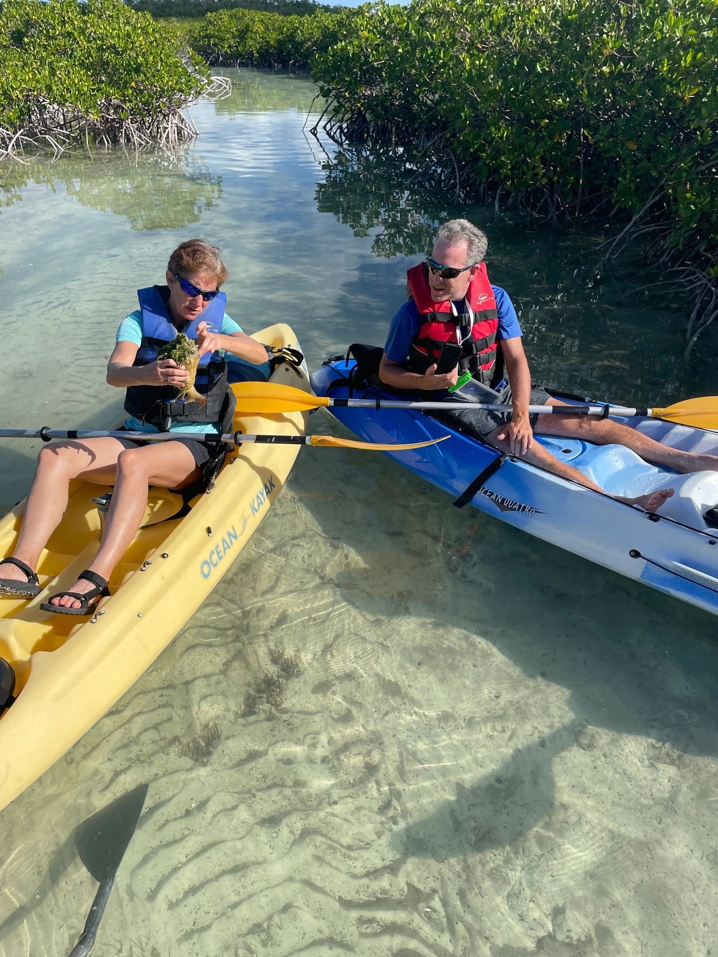 jet ski rental clear water