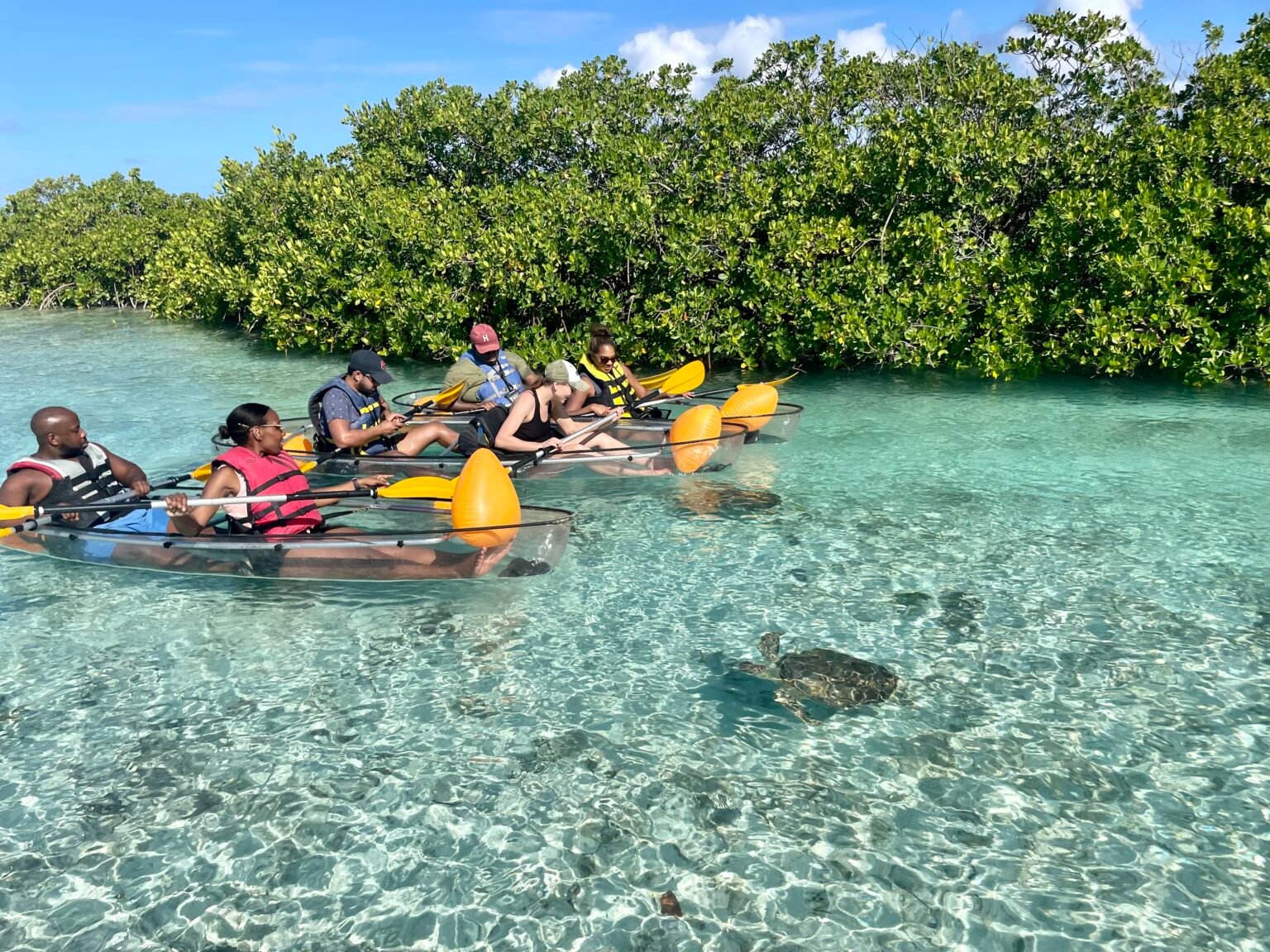 group clear kayaking
