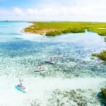 drone of mangrove cay