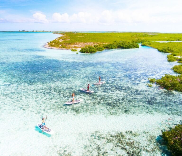 drone of mangrove cay