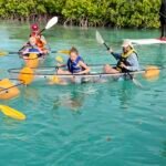 wow turtles in turks