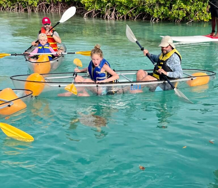 wow turtles in turks