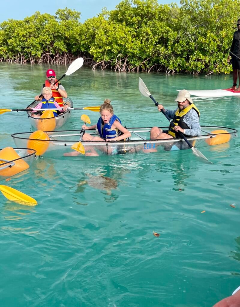 wow turtles in turks