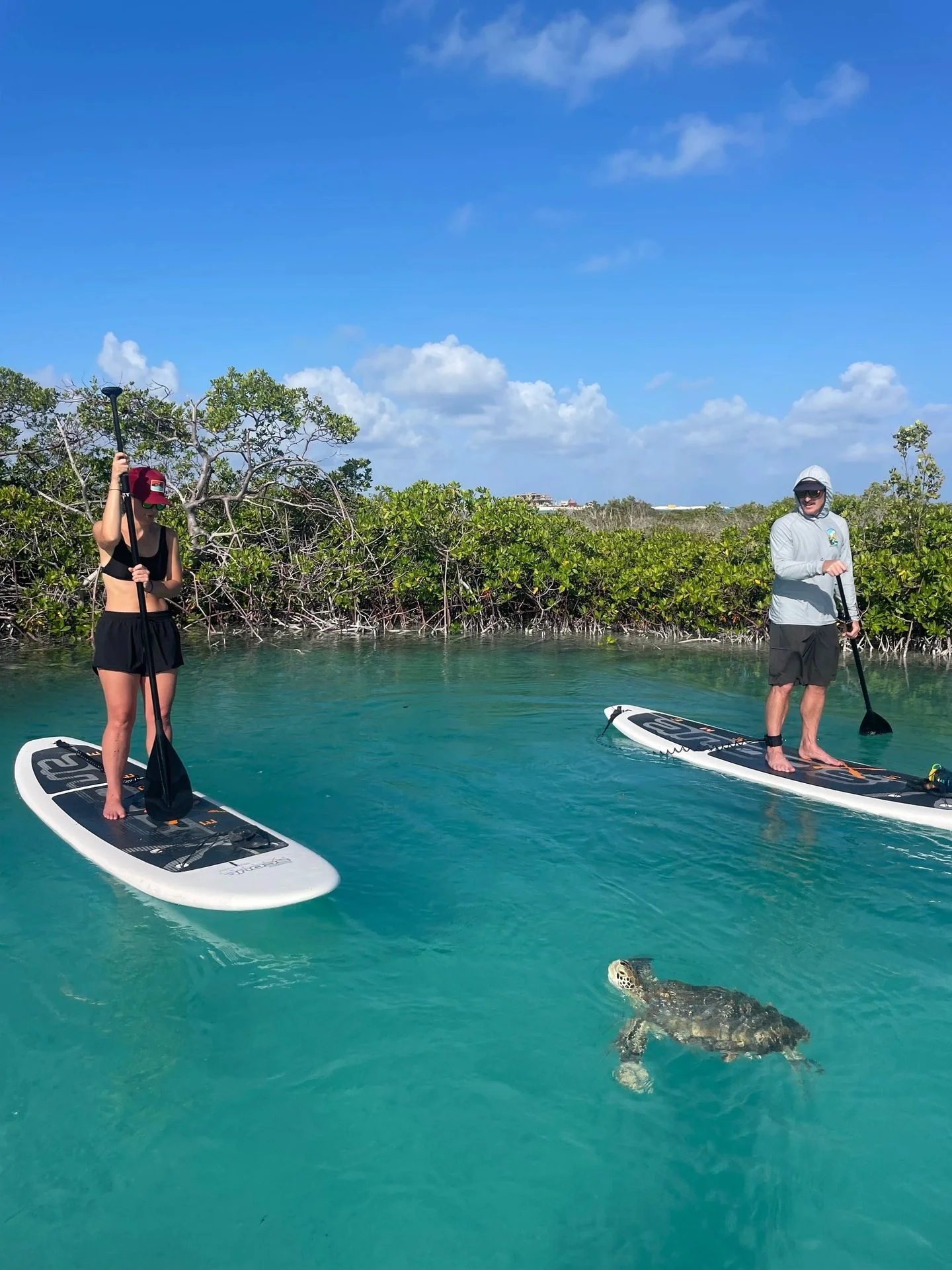 kayaking in turks and caicos